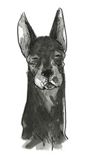 Obraz premium 黒い犬ー正面ー目を閉じる