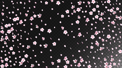 Nice Sakura Blossom Isolated Vector. Summer Showering 3d Petals Wedding Design. Japanese Oriental Flowers Illustration. Valentine, Mother's Day Pastel Nice Sakura Blossom Isolated on Black