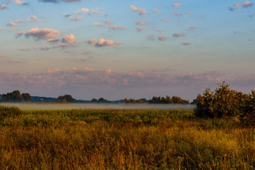 Fog on a meadow in morning on summer