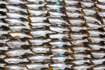 Top view of Dried sea fishes in Thailand