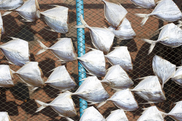 Top view of Dried sea fishes in Thailand