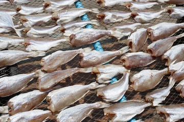 Top view of Dried sea fishes in Thailand