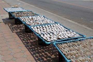 Top view of Dried sea fishes in Thailand