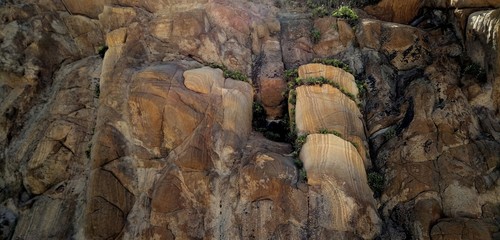 muro de piedra con plantas