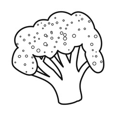 Vector illustration of broccoli and cabbage logo. Set of broccoli and green vector icon for stock.