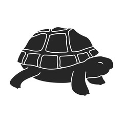 Sea turtle vector icon.black vector icon isolated on white background sea turtle.