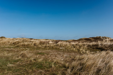 Wide grass dune landscape, sunny day, blue sky, Amrum, Germany