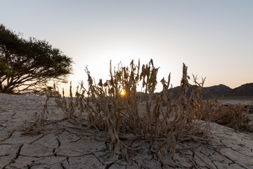 Wadi Shawka Dam Sun Light