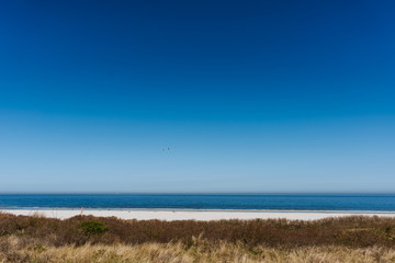 Fototapeta na wymiar Wide sand beach landscape, sunny day, blue sky, Juist, Germany