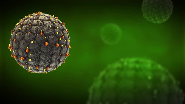 Hantavirus medical animation Cell Virus outbreak medical animation. Orthohantavirus dangerous rat alert