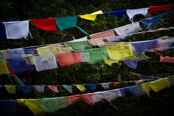 flags in nepal
