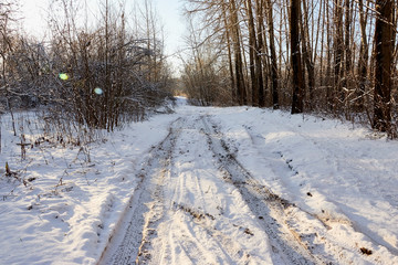 Small road or footpath covered by snow in winter. Snow track from car in forest lanscape