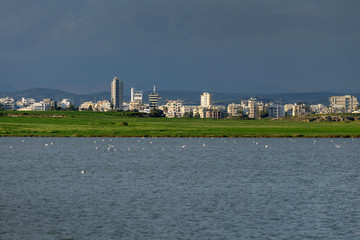 Larnaca panorama on the background of the lake