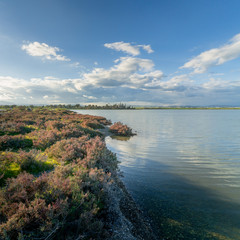 landscape with salt lake Larnaca and clouds