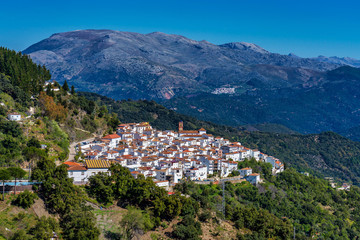Fototapeta na wymiar White Andalusian village, pueblo blanco Algatocin. Province of Malaga, Spain