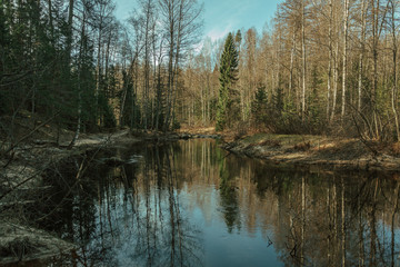 reflections of the forest in a river