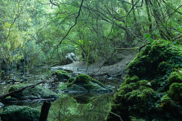 Saltos del Petrohué, ubicado Osorno, región de los lagos, Chile.