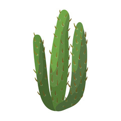 Cactus vector icon.Cartoon vector icon isolated on white background cactus .