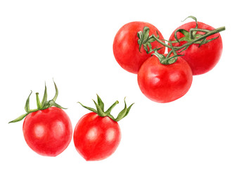 Cherry tomatoes set watercolor isolated on white background