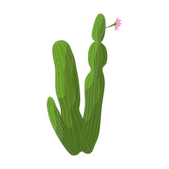 Cactus vector icon.Cartoon vector icon isolated on white background cactus .