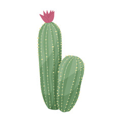 Cactus of flower vector icon.Cartoon vector icon isolated on white background cactus of flower.