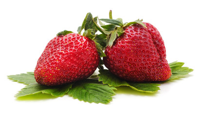 Large fresh strawberry.