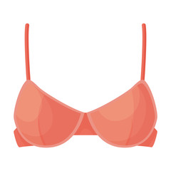 Bra vector icon.Cartoon vector icon isolated on white background bra.