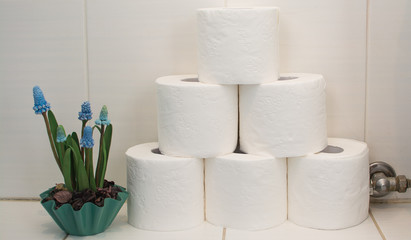Rolls of toilet paper on a white background.