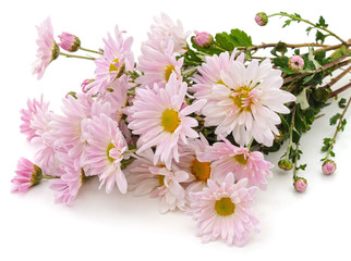 Bouquet of white daisies.