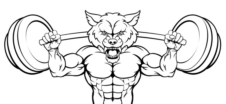A wolf animal body builder sports mascot weight lifting a barbell