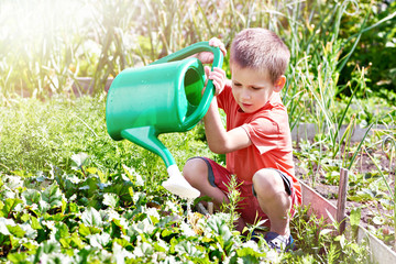 Little boy with garden watering can