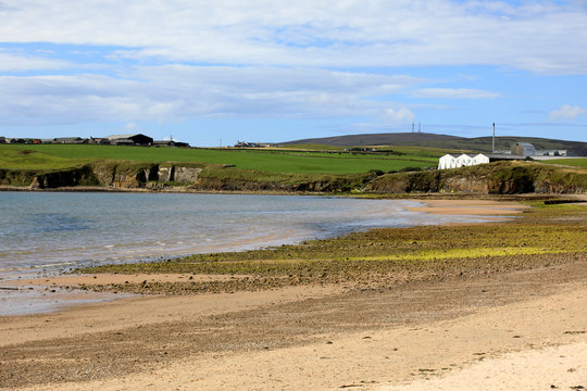 Orkney (Scotland), UK - August 06, 2018: Scapa Bay near Kirkwall in Orkney with the Scapa distillery buildings sitting above the shoreline in the distance, Orkney, Scotland, Highlands, United Kingdom