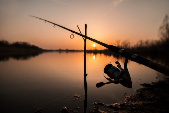 Carp fishing rod isolated on sunset. fishing rod silhouette