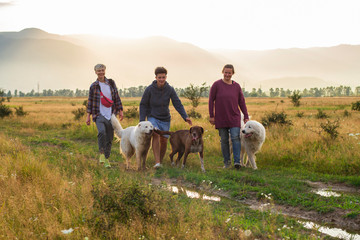 in mountains women walk with dogs at sunset