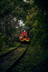 Fototapeta na wymiar train in jungle