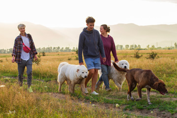 in mountains women walk with dogs at sunset