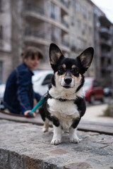 Woman walking out dog.