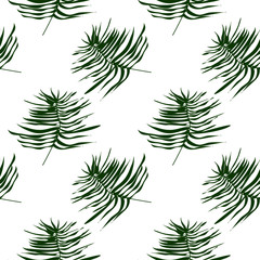 set of fir branches isolated on white background