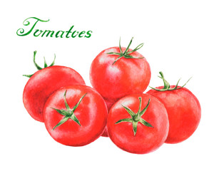 Watercolor food illustration with isolated raw tomatoes against white background.  Hand drawn icon.