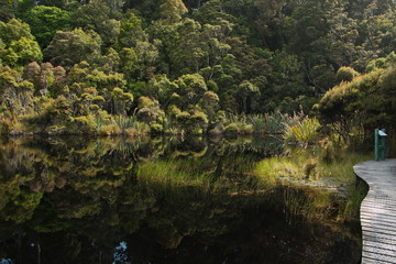 Obraz premium Boardwalk at Lake Wilkie in Otago on South Island of New Zealand