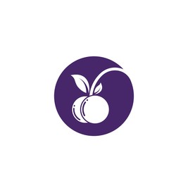 blueberry vector illustration design