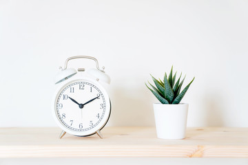 Alarm clock and flower pot on white background. Front view. Copy space