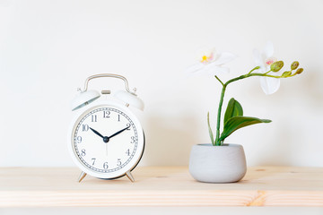 Alarm clock and flower pot on white background. Front view. Copy space