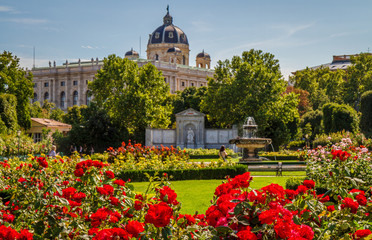 Jardín de rosas en la ciudad de Viena en Austria.