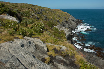 Fototapeta na wymiar Coast on Lookout Point in Bluff, Southland on South Island of New Zealand