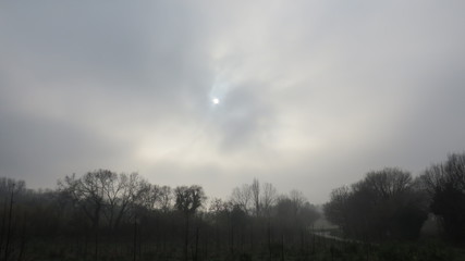 Fototapeta premium Forme tra la nebbia