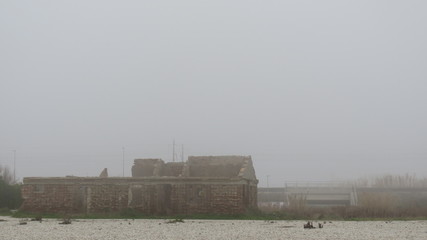 Fototapeta na wymiar Forme tra la nebbia