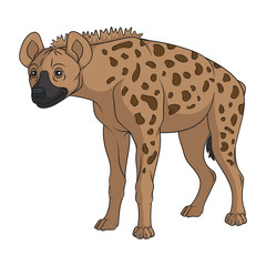 Color illustration with spotted hyena. Isolated vector object on a white background.