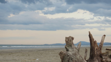 Paesaggio marino