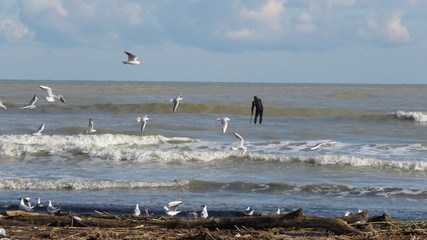 Paesaggio marino